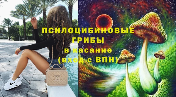 меф Арсеньев