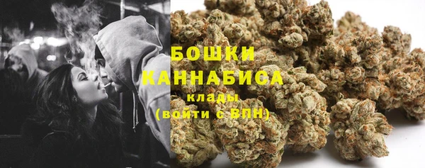 дживик Аркадак
